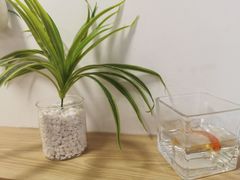 -银树楼(紫玉山庄东区店)