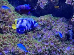 -成都浩海立方海洋公园