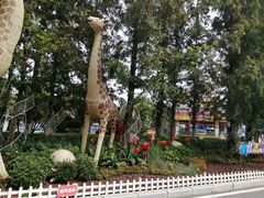 -大连森林动物园