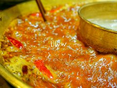 -杨家火锅(国美店)