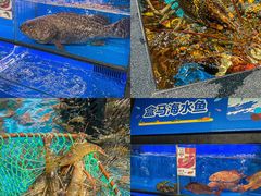 水产区-盒马鲜生(曜一城店)