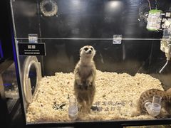 -太平洋海底世界