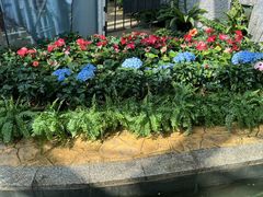 -禹州森林植物园