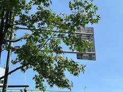 -上海市徐汇区口腔医院