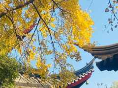 -西园戒幢律寺
