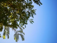 -中关村生命科学园