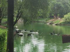 -沈阳森林动物园