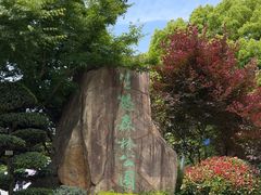 -昆山城市生态森林公园