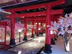 -蓝鲸湾汤泉(包河店)