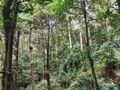 -水濂山森林公园