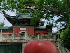 -焦山景区-万佛塔