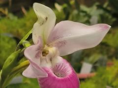 -北京植物园-展览温室