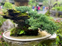 -成都杜甫草堂博物馆