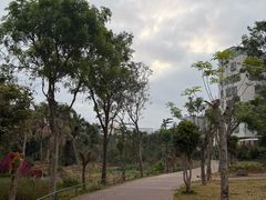 -中澳友谊花园
