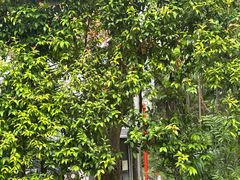 -泰国村酒楼(良木园酒店)