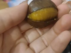 -栗子张(文殊院店)