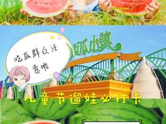 -西瓜小镇