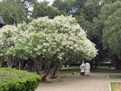 -北京市劳动人民文化宫(太庙)