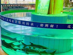 -年辉渔村·非遗传承餐厅(新丰江店)