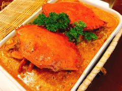 -茉莉.Red Crab