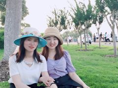 -合肥滨湖国家森林公园