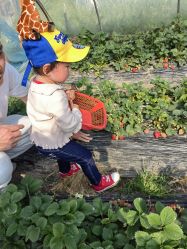 -前小桔亲子创意农场·草莓采摘·露营烧烤