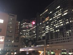 -台场海滨公园船码头