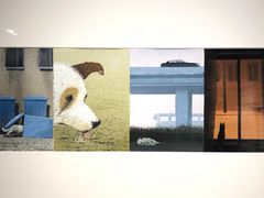 -【朵云轩艺术中心】博洛尼亚插画展·中国巡展·上海站