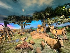 -国家自然博物馆