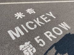 -迪士尼乐园停车场