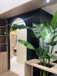 点击看大图 -Garden花園造型