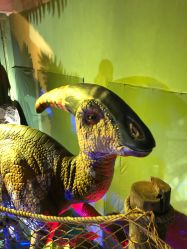 -恐龙探索乐园(磁器口店)