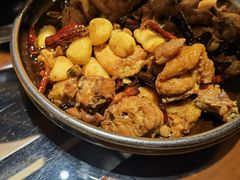 -志晖园圆子鸡·辣子鸡(阳光店)