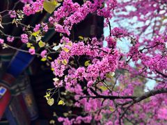 -西安市广仁寺
