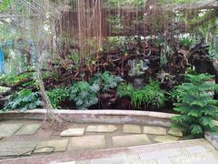 -石家庄市植物园