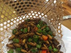 -绿雅居原生态农庄(小涌店)