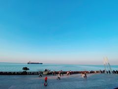 -上海滨江森林公园
