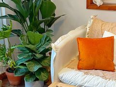 -LuluCake·路鹿蛋糕