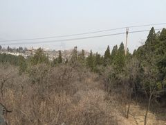 -原山国家森林公园