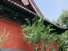 -洛阳白马寺