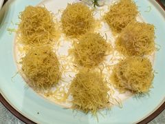 -丁老爷子苏香圆