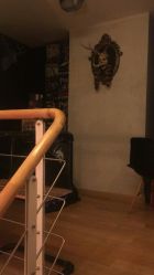 -Black Tattoo Studio