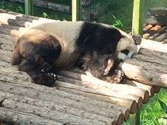 -大连森林动物园