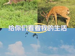 -良渚古城遗址公园