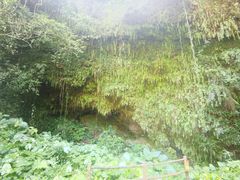 -海口火山口国家地质公园