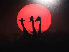 -罗红摄影艺术馆