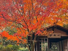 -中国茶叶博物馆(双峰馆区)