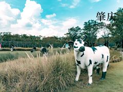 -恒大世纪梦幻城