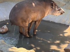 -西霞口神雕山野生动物世界