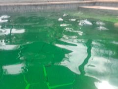 -咸宁万豪温泉谷度假区